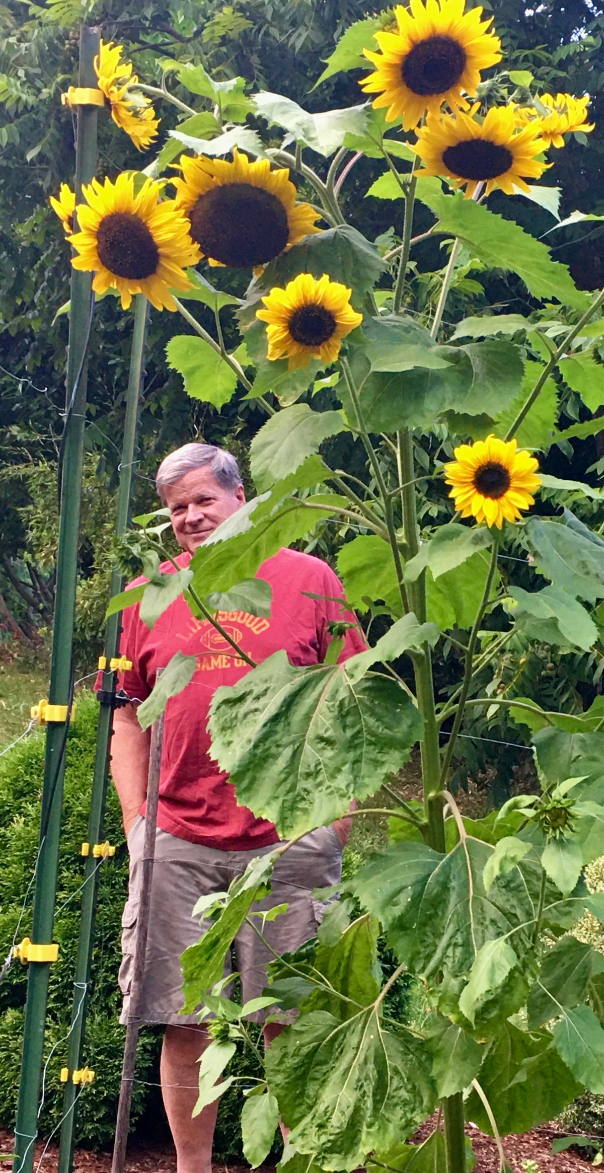 Meet the Board – Southwest Idaho Dahlia Society